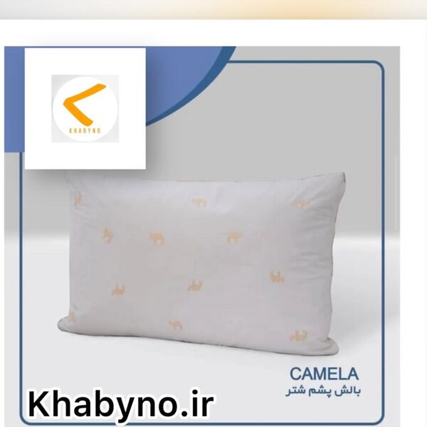 بالشت پشم شتر خوابینو